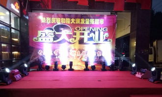 庆典服务策划执行的艺术 从会议到演出的全流程指南